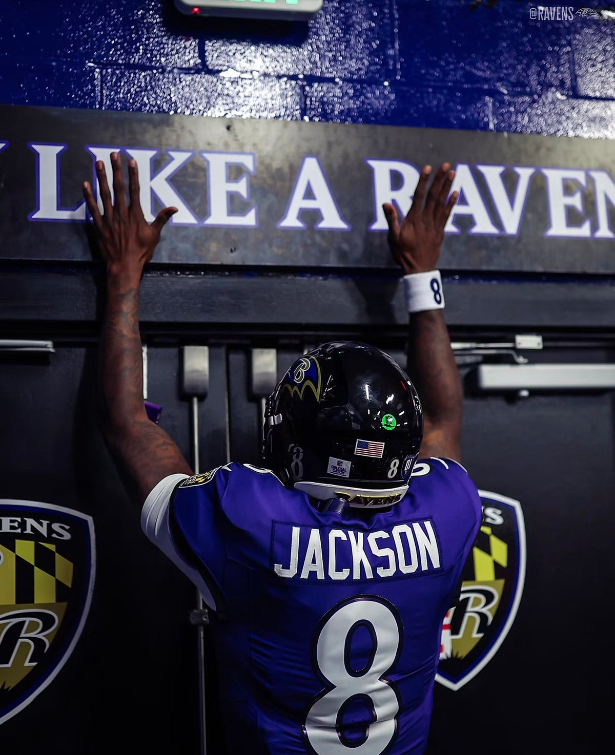 Lamar Jackson Baltimore Ravens Jersey #8 Nike Vapor FUSE Limited Purple Size (Medium) NFL