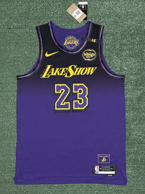 LeBron James Los Angeles Lakers Jersey #23 Nike ADV Authentic Purple Size 48 (L) NBA